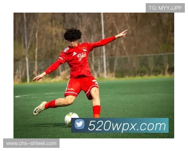 深入了解开云体育在线的多样化赛事类型与特点