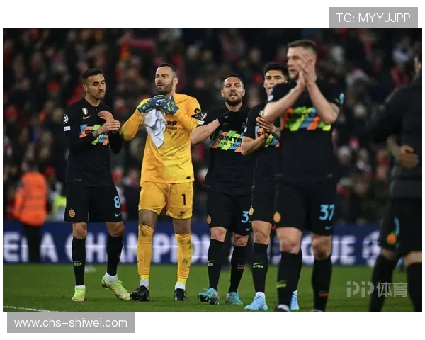 米兰体育网站app的使用技巧与常见问题解答