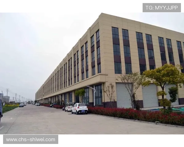 乐鱼电子有限公司：不断提升产品研发能力满足多元化市场需求的创新企业