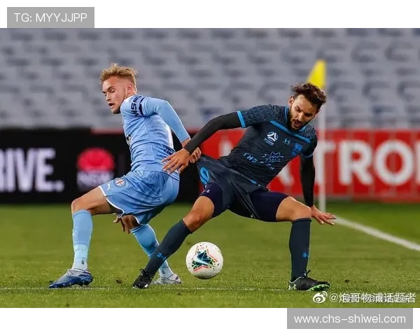 AOA体育手机版支持哪些体育项目，涵盖足球篮球等多种热门赛事的详细介绍