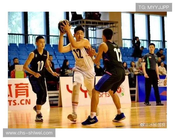 海星体育中文站在国际体育合作中的角色与未来合作方向